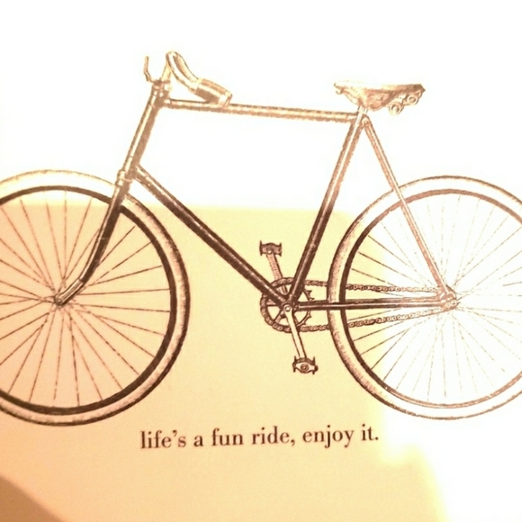 Meet your Posher, Patty - Picture 4 of 4